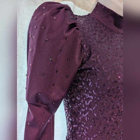 Weismman Dance Costume - Picture 3 of 8